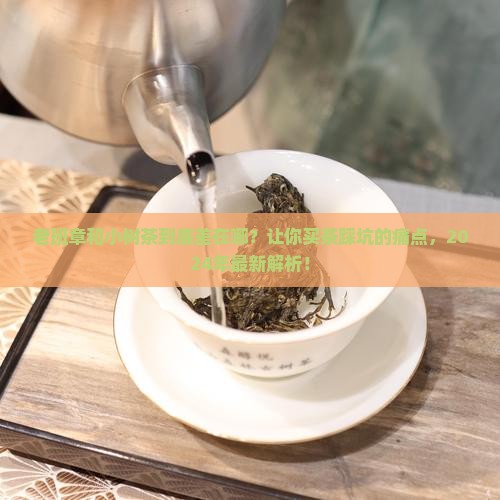 老班章与小树茶的区别