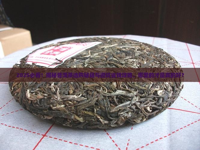 从哪买好的普洱茶