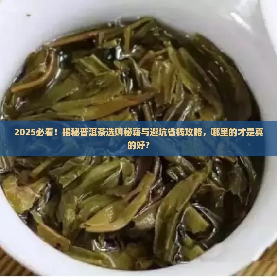 从哪买好的普洱茶