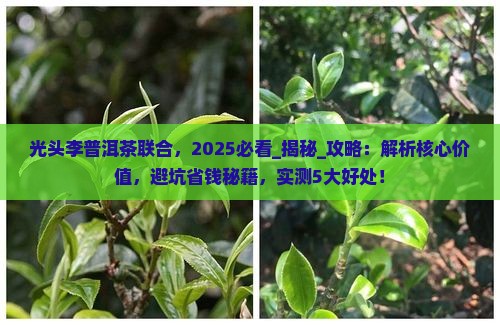 光头李普洱茶联合