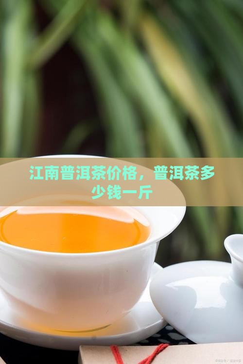 忆江南普洱茶多少钱一斤