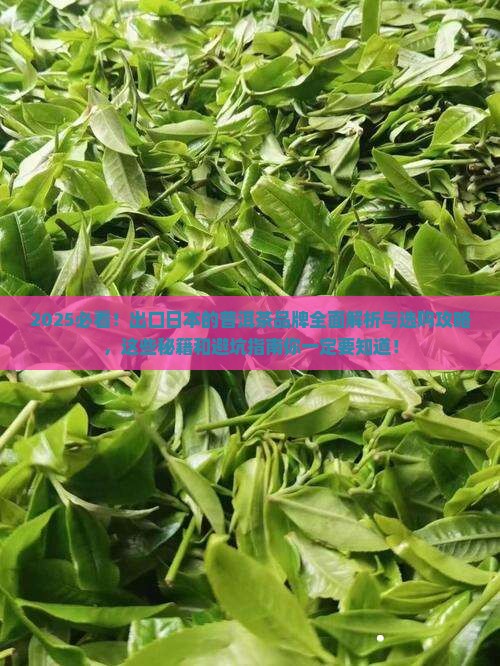 出口日本的普洱茶品牌