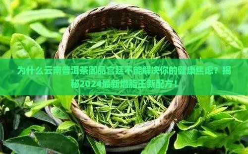 云南普洱茶御品宫廷
