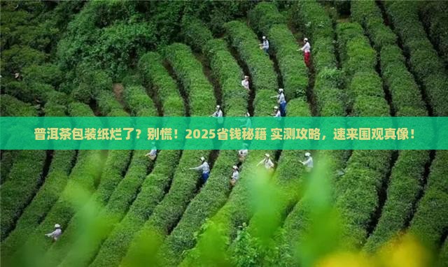 普洱茶包装纸烂了需要换吗