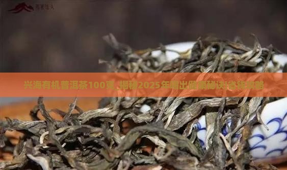 兴海有机普洱茶100克