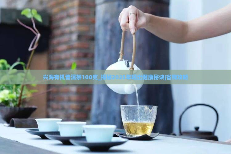 兴海有机普洱茶100克