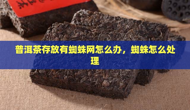 普洱茶存放有蜘蛛网怎么办