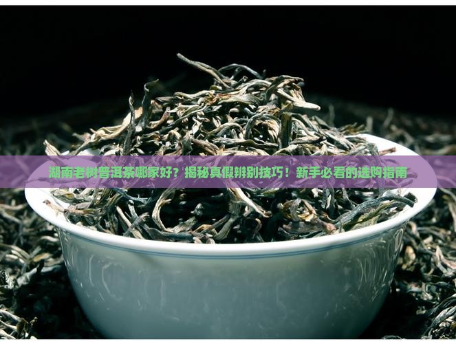 湖南老树普洱茶哪家好