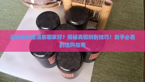 湖南老树普洱茶哪家好