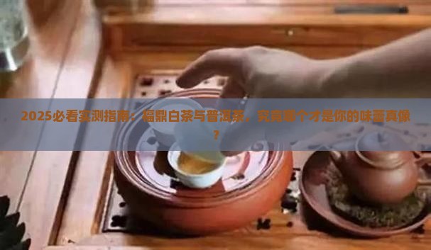福鼎白茶与普洱茶哪个好喝点
