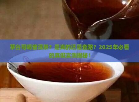 茅台哥普洱茶是真的吗值得买吗