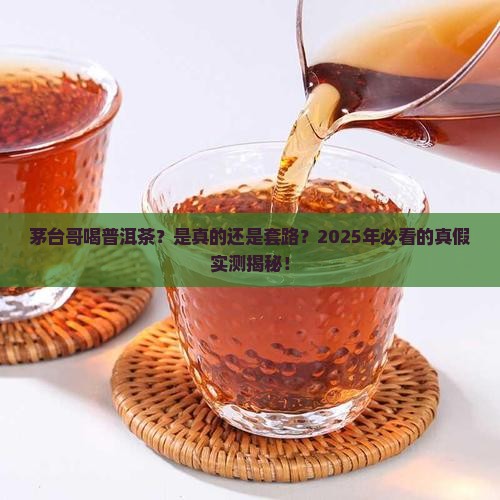 茅台哥普洱茶是真的吗值得买吗