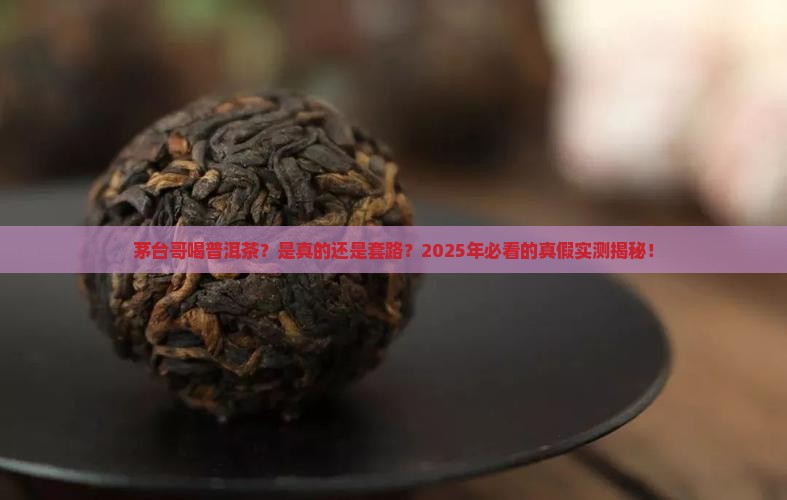茅台哥普洱茶是真的吗值得买吗