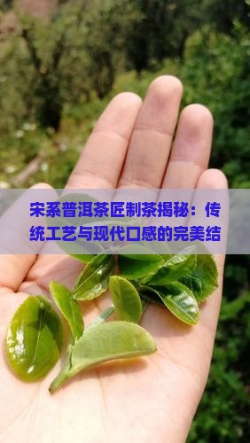 宋系普洱茶匠制茶