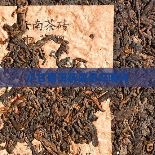 小甘菊普洱茶康哥好喝吗