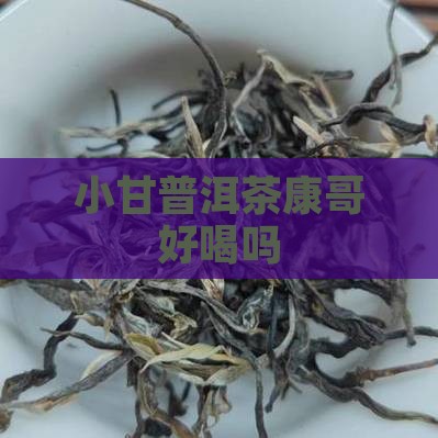 小甘菊普洱茶康哥好喝吗