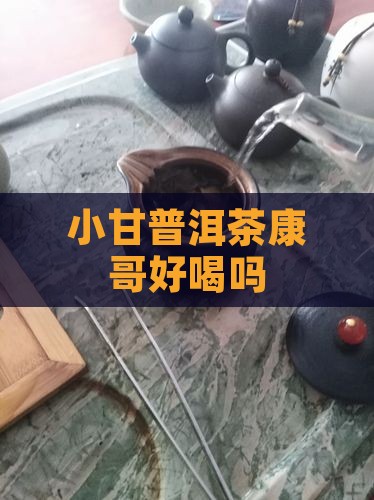 小甘菊普洱茶康哥好喝吗