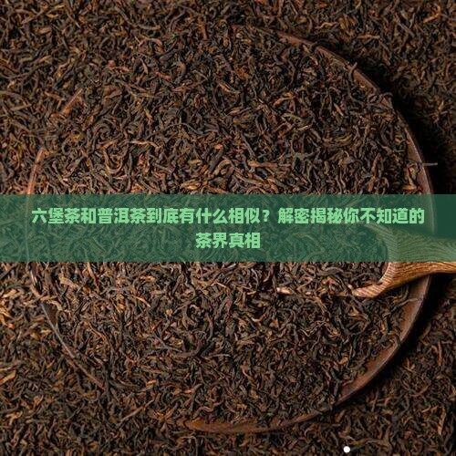 六堡茶和普洱茶的相同点