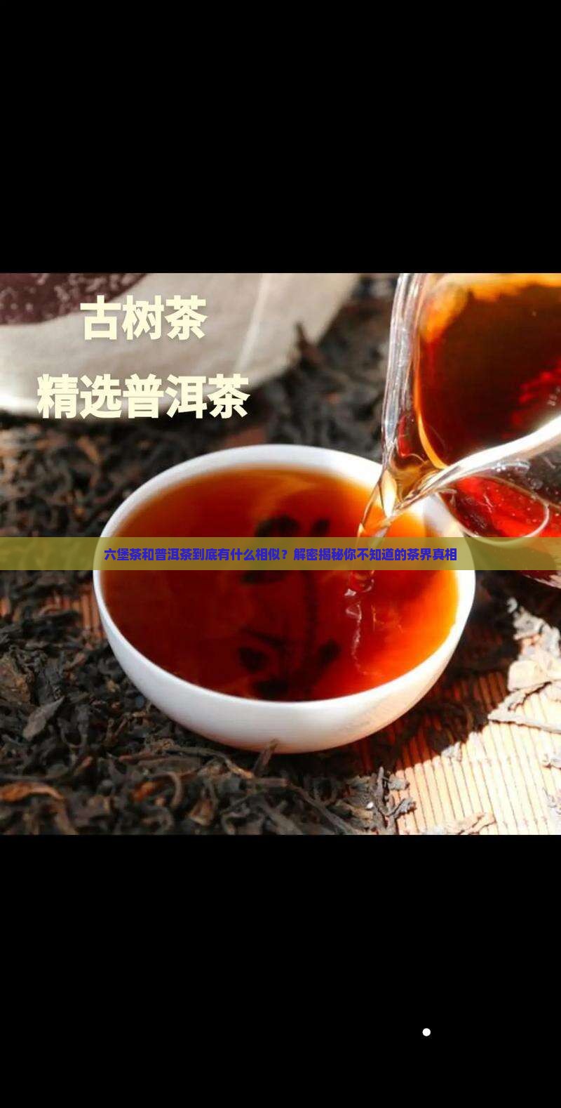六堡茶和普洱茶的相同点