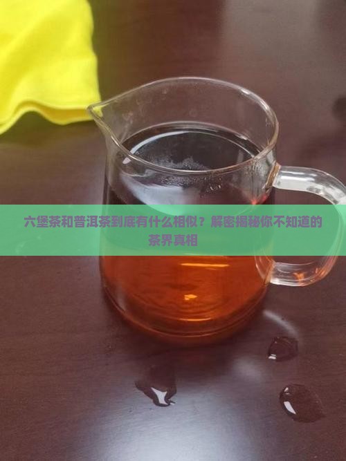 六堡茶和普洱茶的相同点