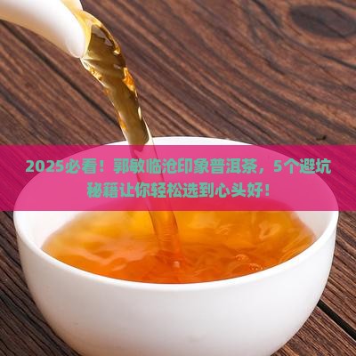 郭敏临沧印象普洱茶