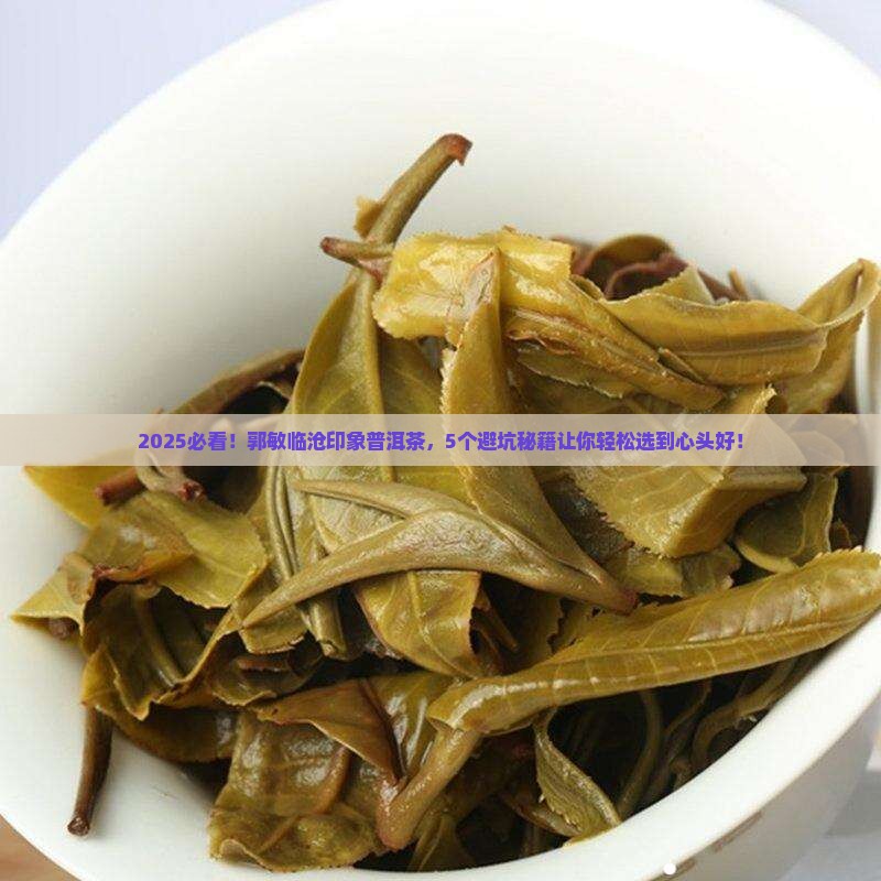 郭敏临沧印象普洱茶