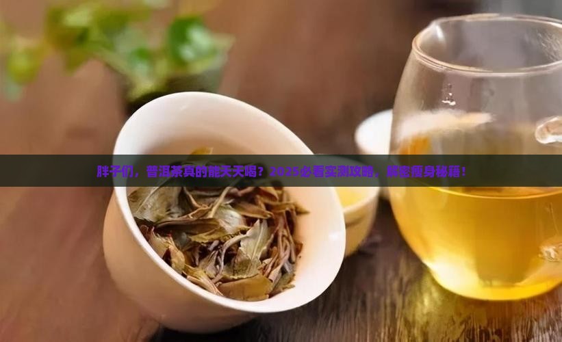 胖子可以天天喝普洱茶吗