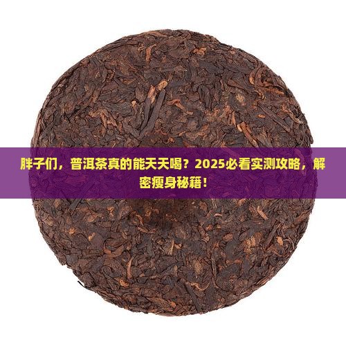 胖子可以天天喝普洱茶吗