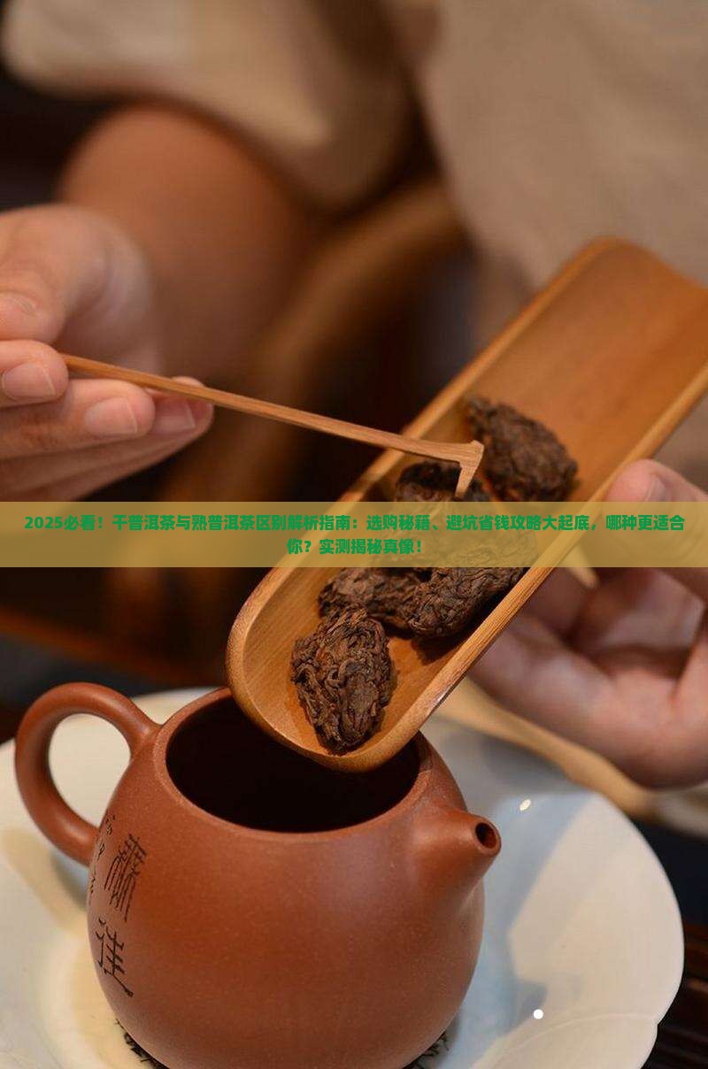 干普洱茶与熟普洱茶区别