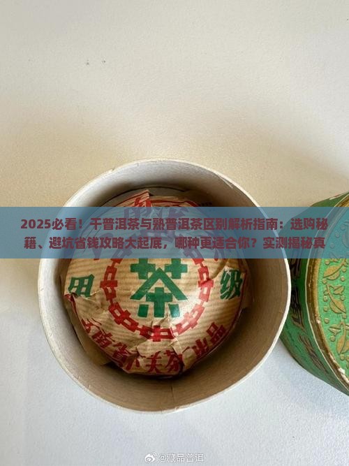 干普洱茶与熟普洱茶区别