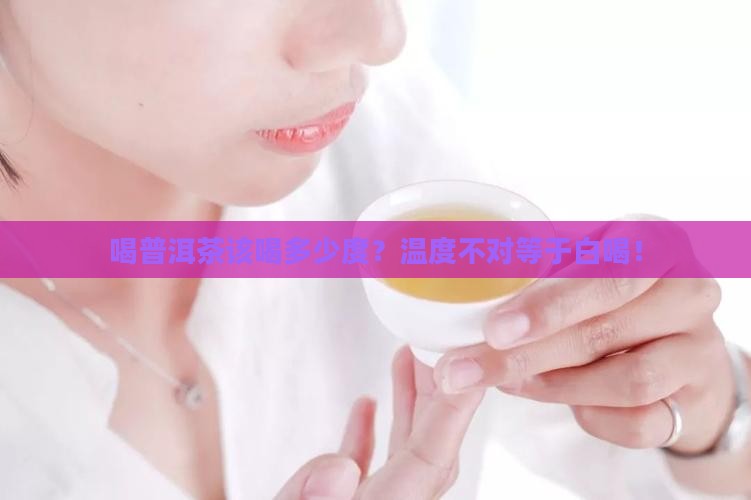 喝普洱茶的温度