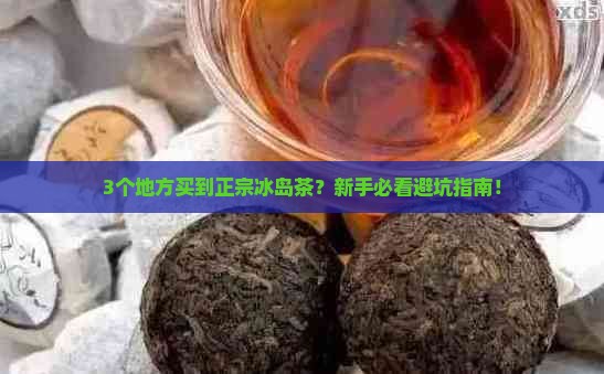 在哪里能买到正宗的冰岛茶