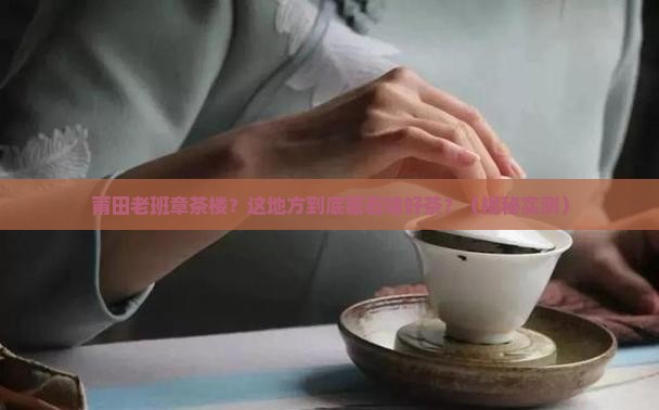 莆田老班章茶楼