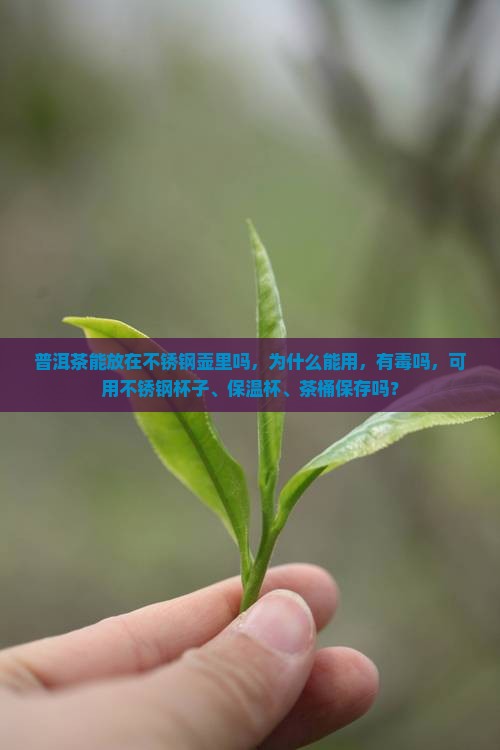 普洱茶能放在不锈钢壶里吗