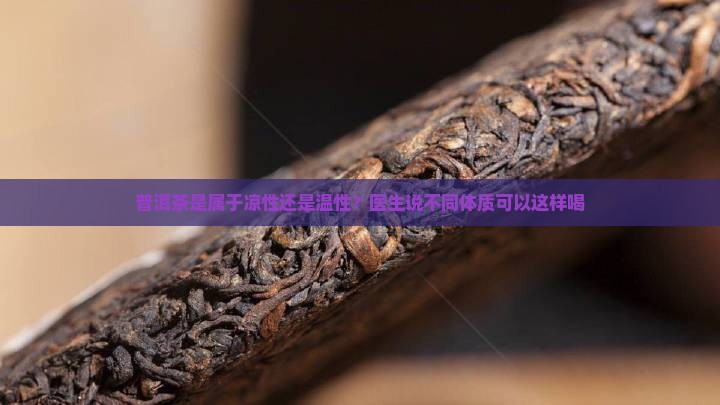 普洱茶是属于凉性吗