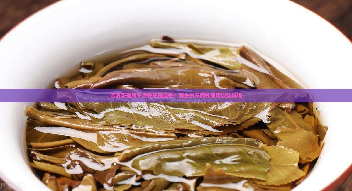 普洱茶是属于凉性吗