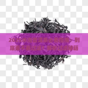 冲泡普洱茶要过滤吗
