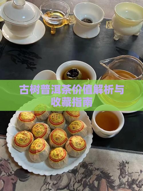 古树茶购买藏价值
