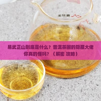 普洱茶的易武正山是什么意思