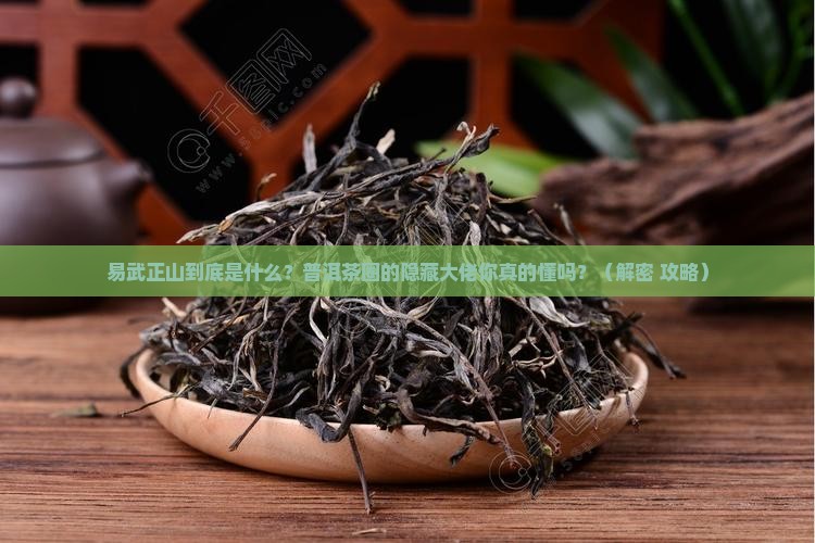 普洱茶的易武正山是什么意思