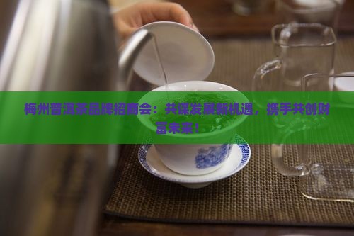 梅州普洱茶品牌招商会
