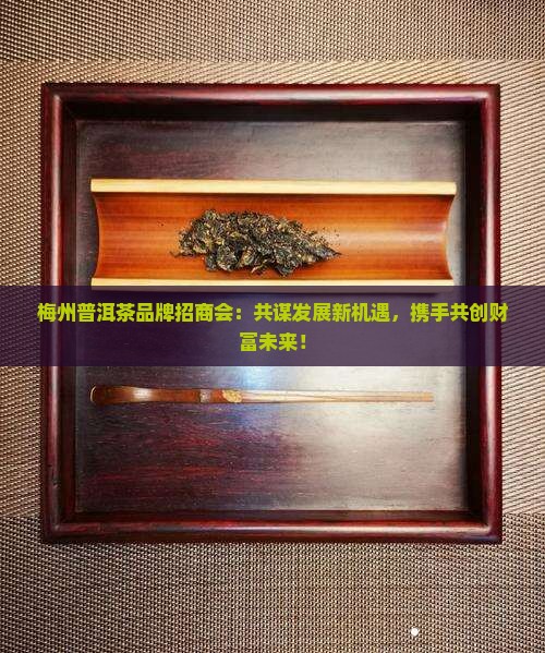 梅州普洱茶品牌招商会