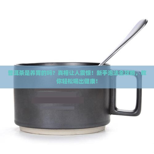 普洱茶是养胃的吗怎么泡