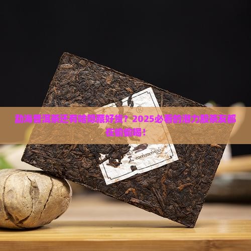 勐海普洱茶潜力股