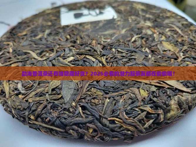 勐海普洱茶潜力股
