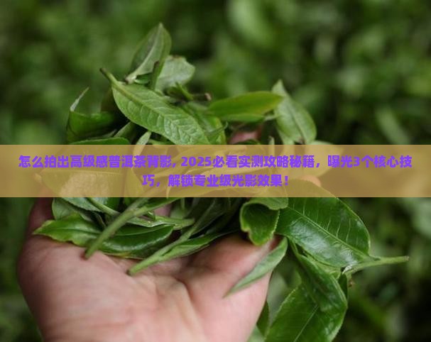 怎么拍出高级感普洱茶背影