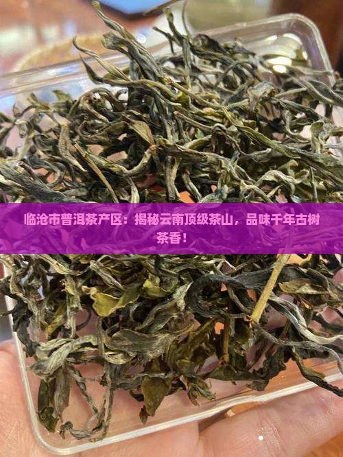 临沧市普洱茶产区