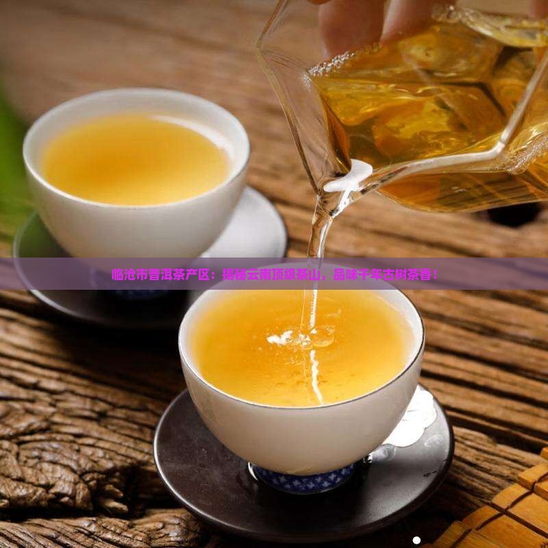 临沧市普洱茶产区
