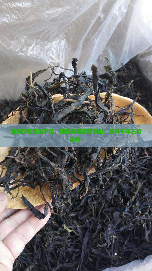 临沧市普洱茶产区