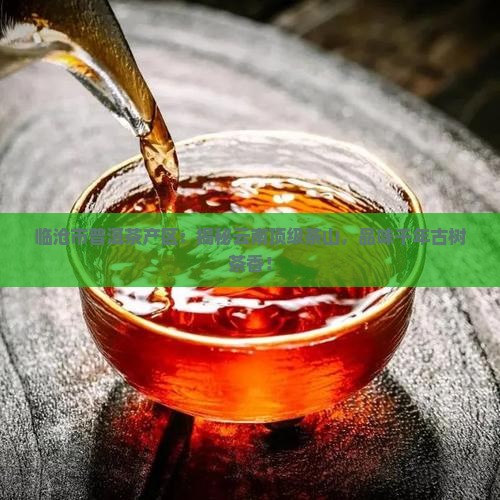 临沧市普洱茶产区